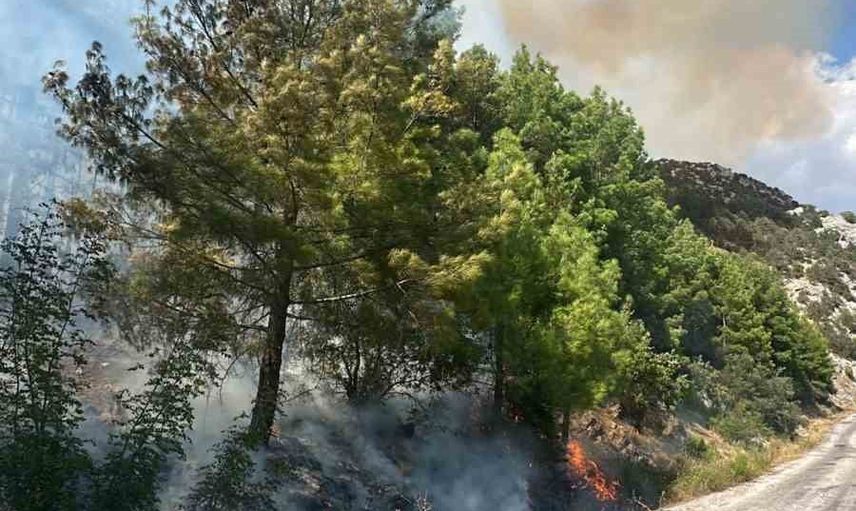Akseki'de Güzelsu Mahallesi'nde orman yangınına havadan ve karadan müdahale