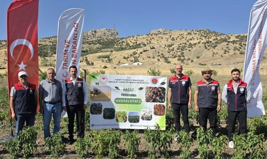 Şırnak’ta TAKE ile atıl araziler üretime döndü: üreticinin bahçesinde sebze hasadı
