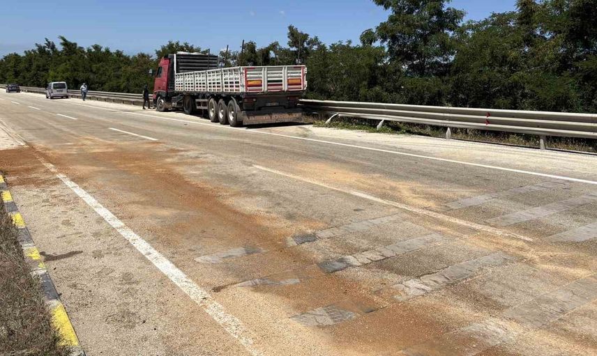 seydiler'de tırla çarpışan traktörün sürücüsü hayatını kaybetti