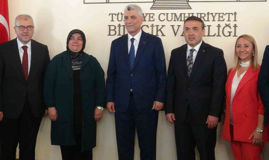 Bilecik'in valilik bahçesinde adıyla anılan çınar can suyu aldı