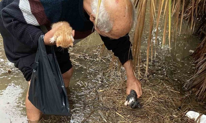 Mersin'de sel altındaki bahçeye giren Mehmet dede yavru kedileri kurtardı