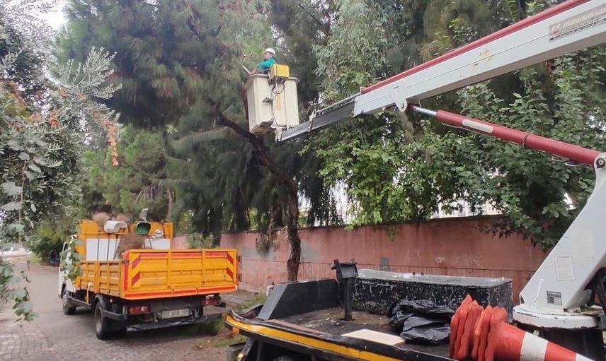 Efeler’de parklarda güvenlik odaklı dal budama seferberliği
