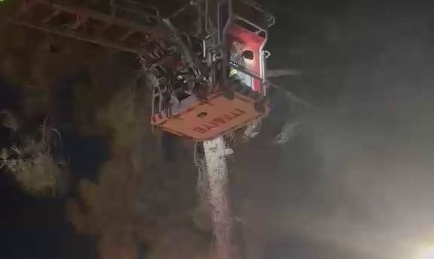 Adıyaman'da itfaiye ekipleri yavru kediyi ağaçtan kurtardı