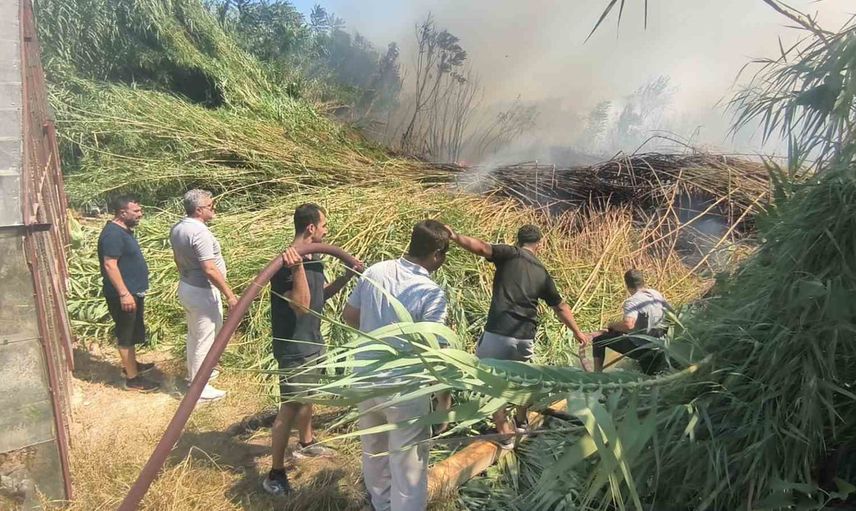Sazlık yangını seraları kül etti, baba yadigarı traktör yok oldu