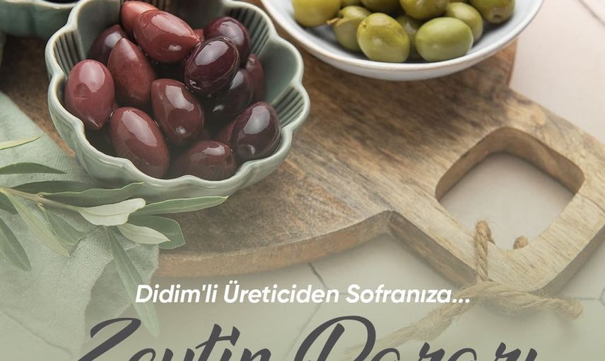 Didim'de üreticiden sofraya zeytin pazarı hayat buluyor