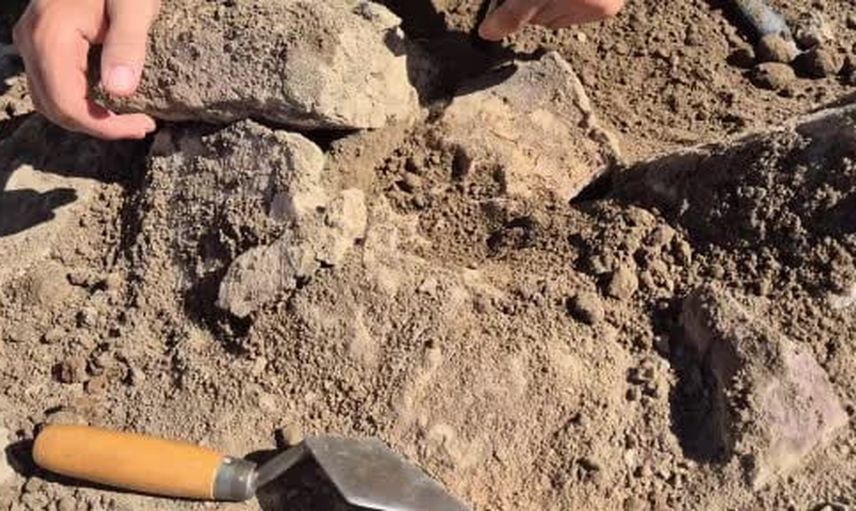 Tavşanlı höyükte kurumuş kerpiçte 4 bin yıllık köpek izleri bulundu