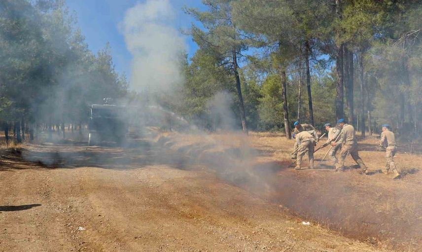 Kilis'te yangın riskine karşı jandarmadan kapsamlı tatbikat