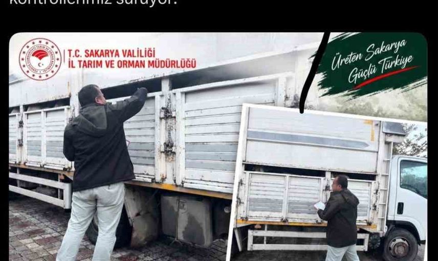Sapanca'da belgesiz hayvan sevki: 11 küçükbaş için yasal işlem