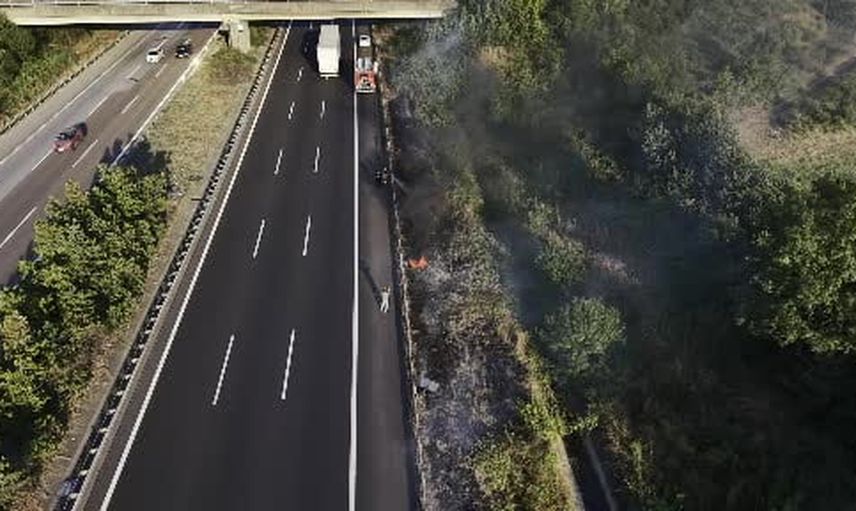 İzmarit Paşaormanı'nda otoyol kenarını alevlendirdi