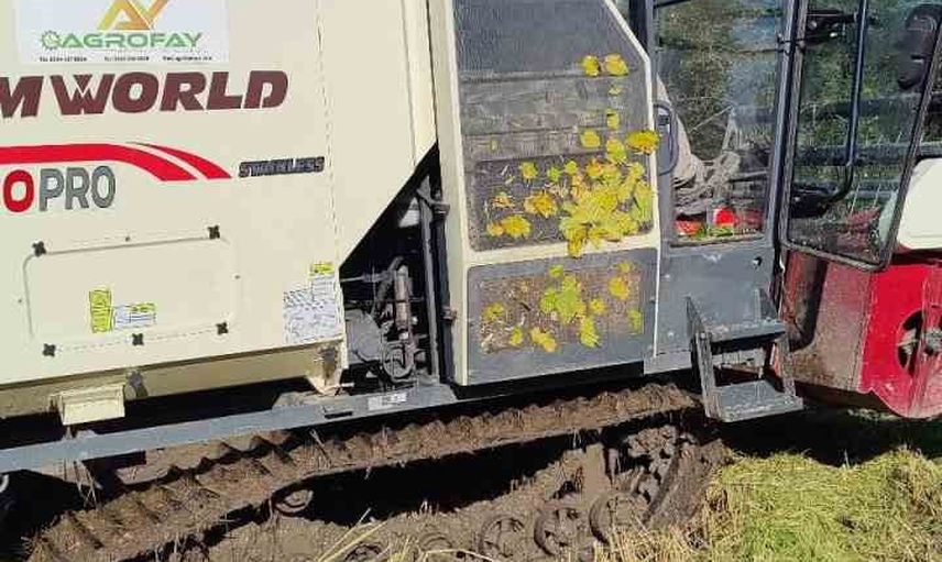 Çeltikdere'de hasat başladı: Selçuk Güçbilmez ve ekip üreticilerle