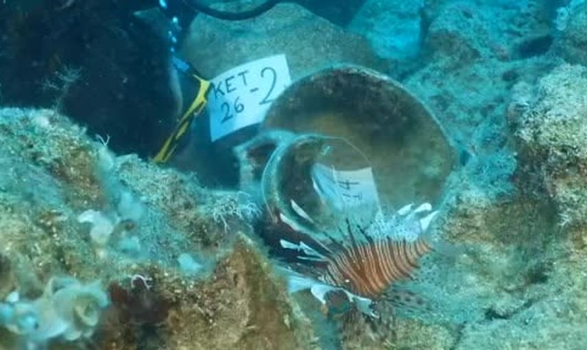 Kekova'da gün yüzüne çıkan 4 bin yıllık amforalar Anadolu'nun deniz hikâyesini aydınlatıyor