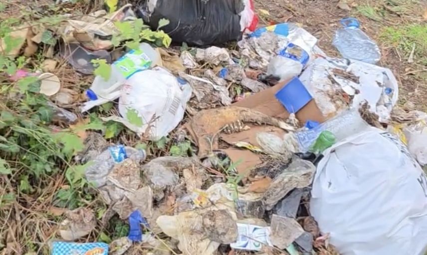 Doğaseverin çöp seferi: Yumrutaş'ta atılan atıklar iki saatte toplandı