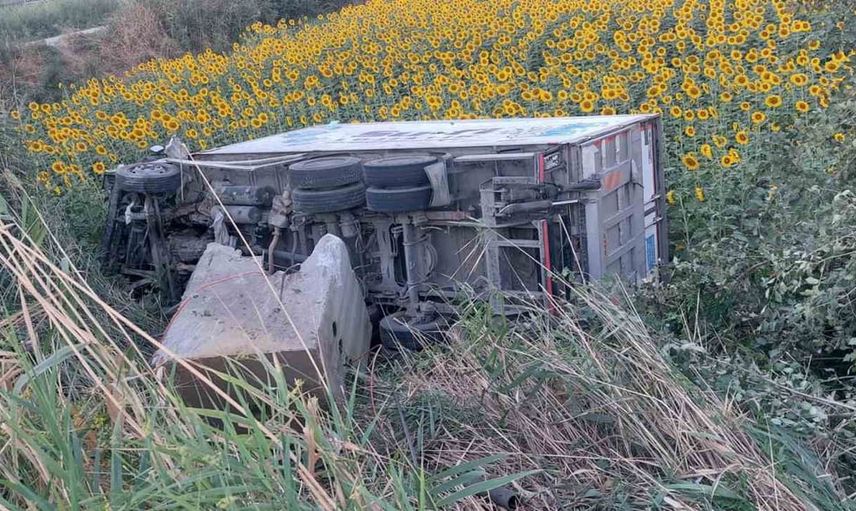 Efeler'de ayçiçeği tarlasına uçan kamyonetin sürücüsü hastaneye kaldırıldı