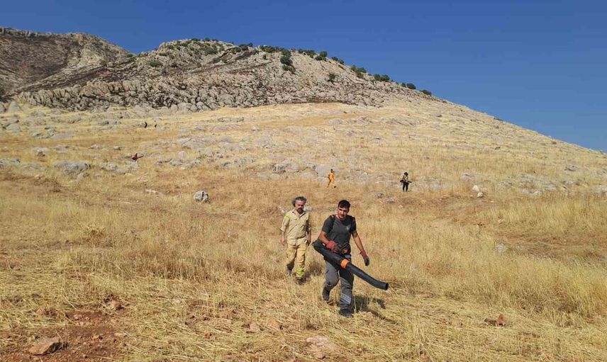 Silvan'da rüzgarın etkisiyle yayılan örtü yangını 350-400 dönüm alanda etkili oldu