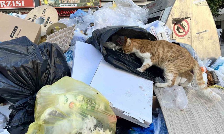 Karşıyaka'da konteyner aracı eksikliği yüzünden çöp krizi büyüdü