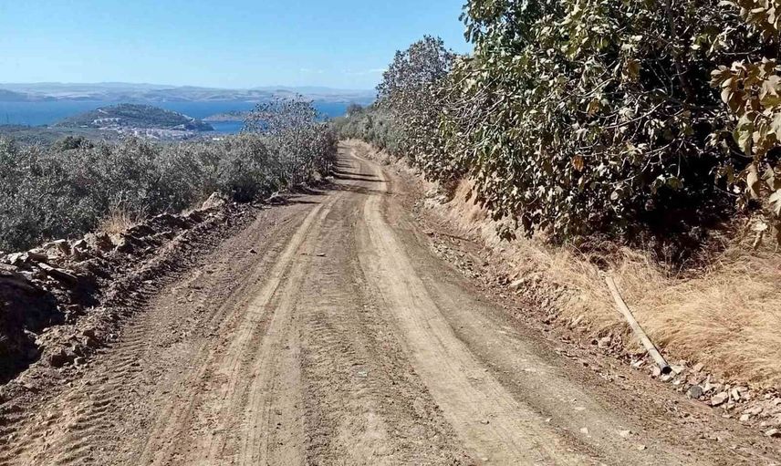 Erdek'te zeytin hasadı öncesi bahçe yollarında kapsamlı bakım