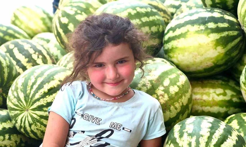 Çemişgezek'in Hıdıroz karpuzu tezgahlarda: susuz üretimin şeker tadı