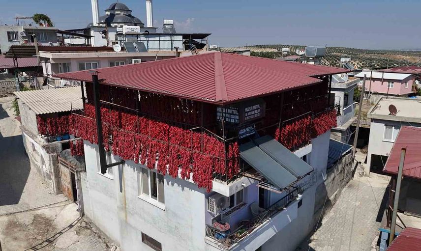 balkonlarda kuruyan kapya: atayurdu mahallesi kırmızıya büründü