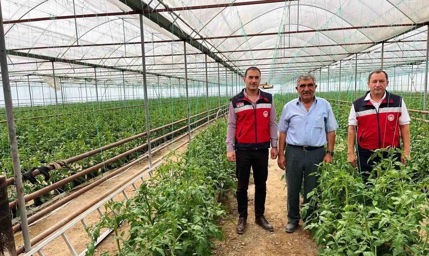 Simav'da seracılık üretimi saha ziyaretiyle değerlendirildi