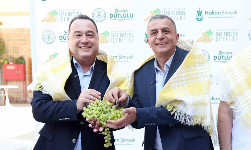 Manisa'da bağcılık mirası bağbozumu şenlikleriyle yeniden canlanıyor