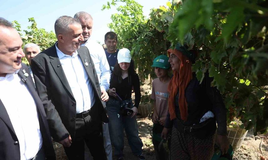 Manisa'da bağbozumu coşkusu bağlarda başladı