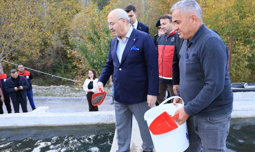 Vali Köşger Çameli'nin üretim ve turizm potansiyelini yerinde gördü