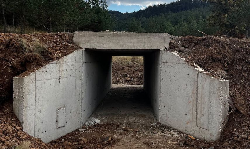 Orman yolları güçlendi: Gerede'de yangına müdahale altyapısı tamamlandı