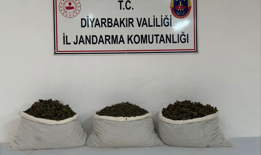 Diyarbakır'da jandarmadan uyuşturucuya darbe: 19,4 kilo esrar ele geçirildi