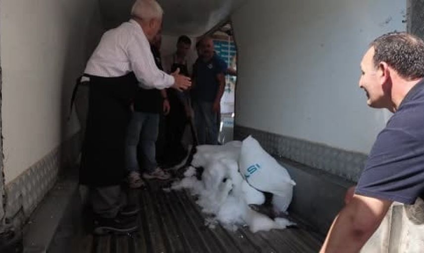 Çanakkale'den çıkan dev kılıç balığı Beylikdüzü'nde halkın ilgisine açılacak