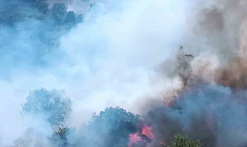 Pütürge Aktarla'da orman ve örtü yangınına havadan ve karadan müdahale