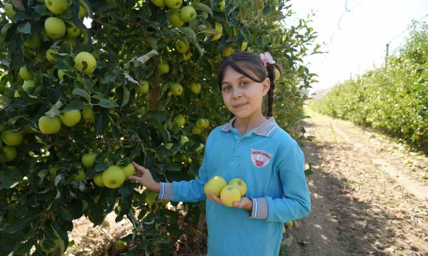 Çocuklar elma bahçesinde tarımı öğreniyor: Niğde'de uygulamalı eğitim