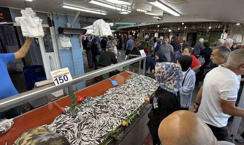Bolu'da palamut ve hamsi bereketi tezgâhlarda uzun kuyruklara yol açtı