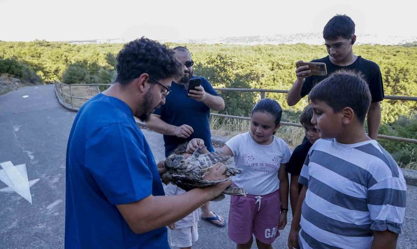 Minik alaca baykuşlara doğada ikinci şans