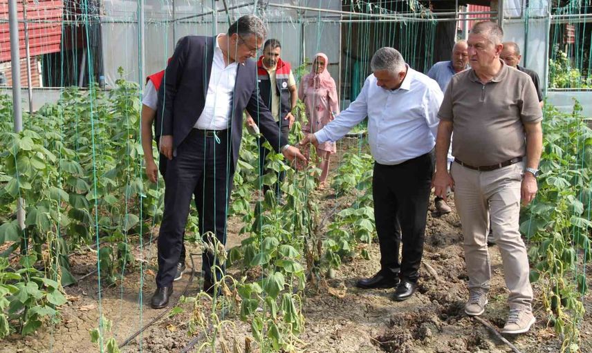 Çarşamba ovasında ağır bilanço: 5 bin dekar tarım arazisi zarar gördü