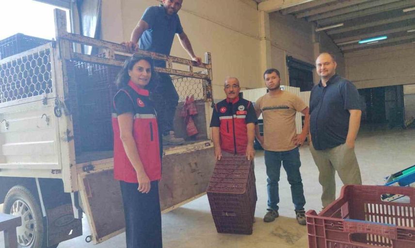 Nazilli'de üreticilere yüzde 50 destekli incir depolama kasaları ulaştırıldı