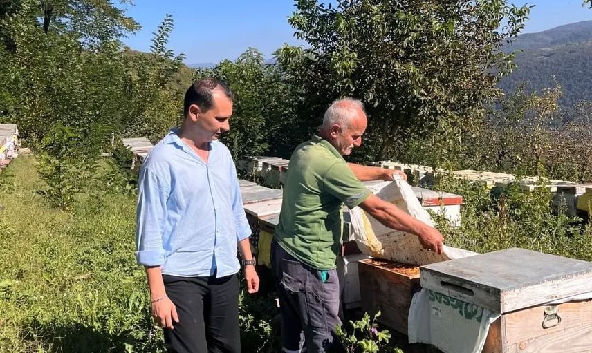 Yığılca’da köy köy arılı kovan sayımı başlatıldı