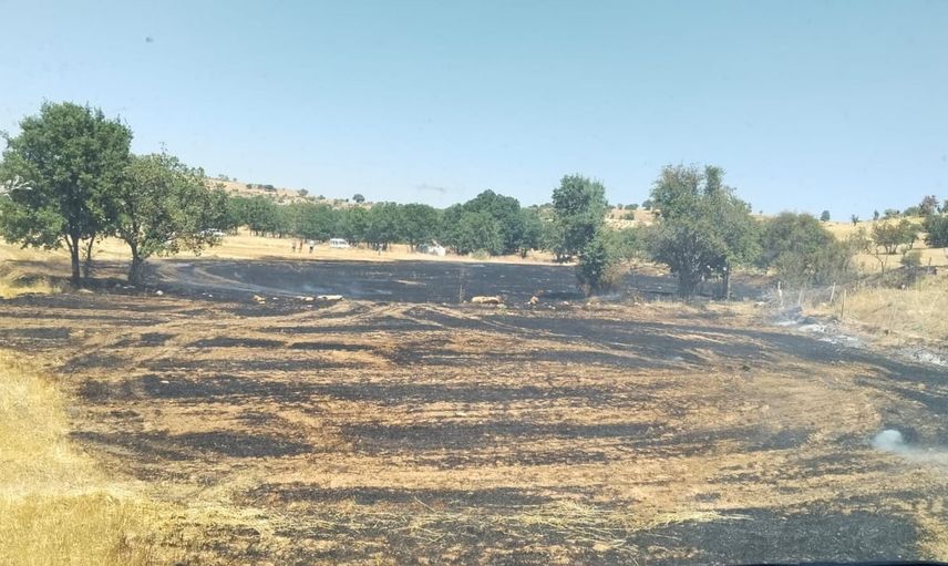 Tütsü ateşi bahçeyi küle çevirdi: 35 kovan ve 20 meyve ağacı kül oldu