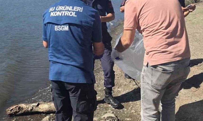Atikhisar barajında balık ölümleri için saha incelemesi başlatıldı