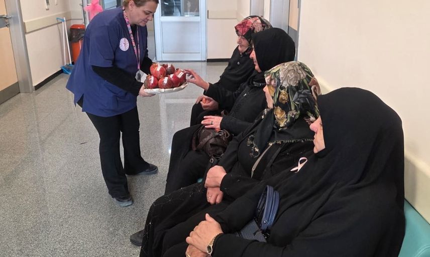 Köyde sağlık, evde erişim: Ozansu ve Soğukgöze'de kadınlara KETEM taraması