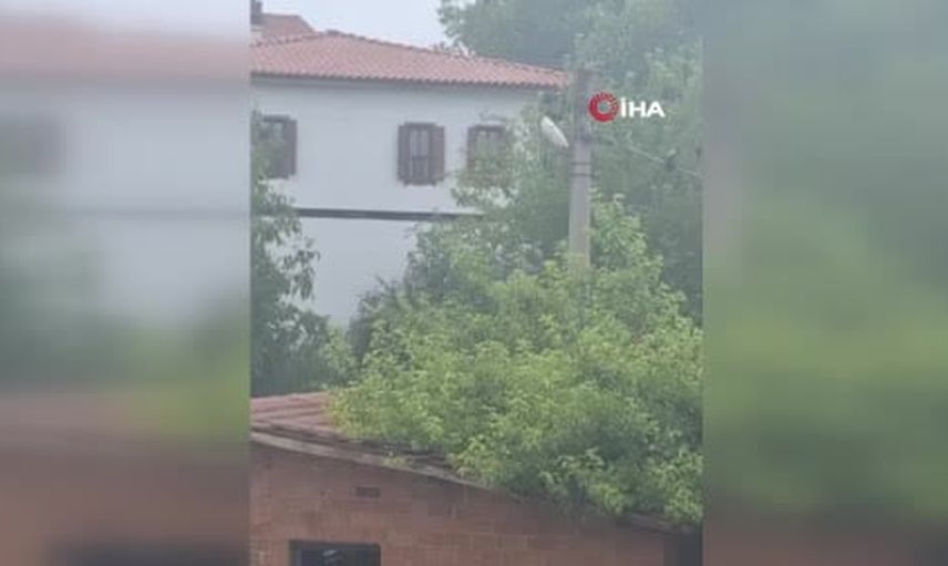 Safranbolu'da bahçede çalışan kadının telefonu karganın 'Allah' diye ses çıkardığını görüntüledi