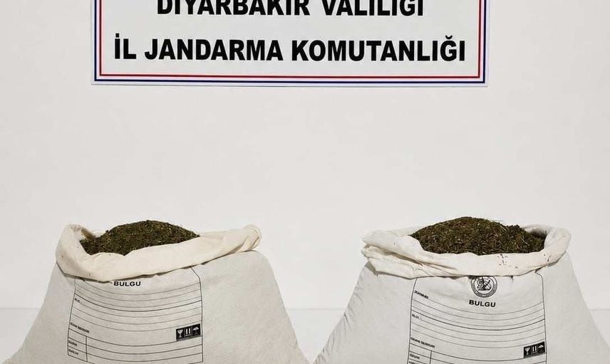 Diyarbakır'da jandarma operasyonunda 187 bin 391 kök kenevir ve çok miktarda uyuşturucu ele geçirildi