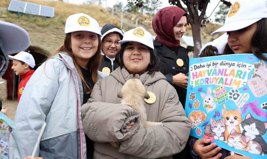talas pati evi'nde hayvan sevgisi ve bakımın ayrıntıları ortaya kondu