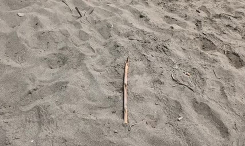 Boğazkent'te söndürülmeyen ateş bir yavrunun yolunu kesti