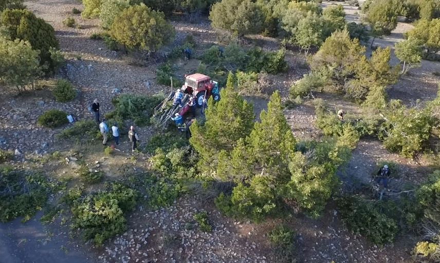 İmeceyle Kuruçay'da meşe odunu mesaisi