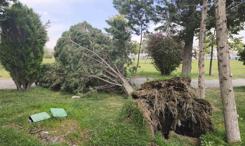 Van'da fırtına sabahı park ve sahil alanlarında maddi hasar
