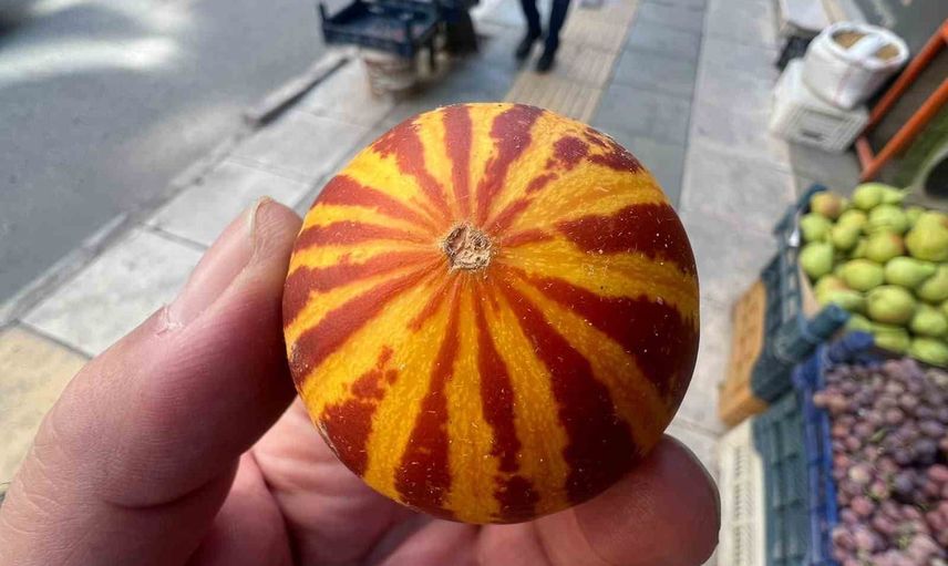 Evlerin kokusunu taşıyan şamama kavunları tezgahlarda