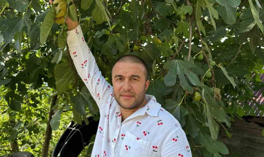 Yüksek rakımda incir sezonu uzuyor: Uzgara'da hasat şubata kadar sürüyor