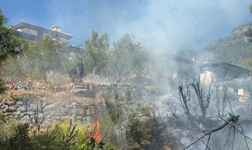 Akyaka zeytinliğinde evlere yaklaşan ot yangını kontrol altına alındı