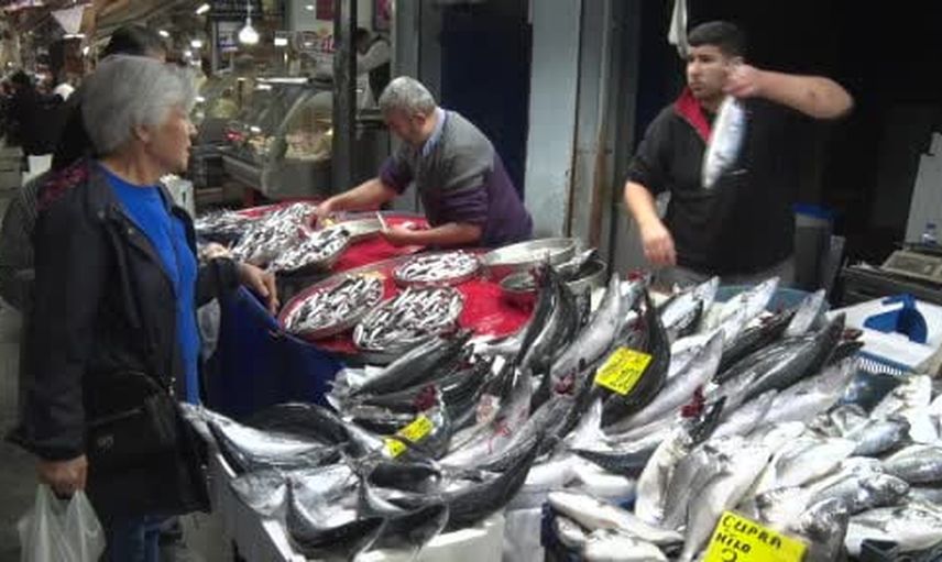 Ege bereketi İzmir tezgahlarına yansıdı: palamut tezgahların gözdesi