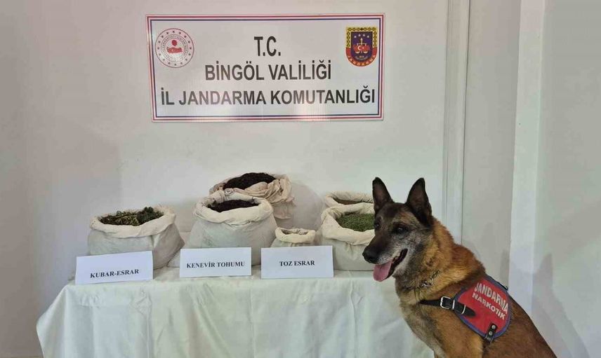 Bingöl’de jandarma operasyonlarında çok sayıda uyuşturucu ve kaçak eşya ele geçirildi